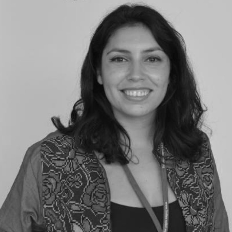Karen Orostica Dra. Karen Oróstica